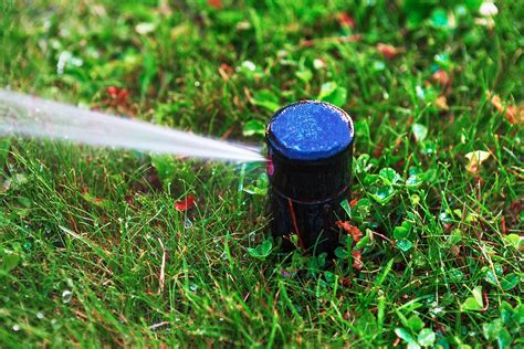 Benefits Of Investing In A Lawn Sprinkler System Arborlawn