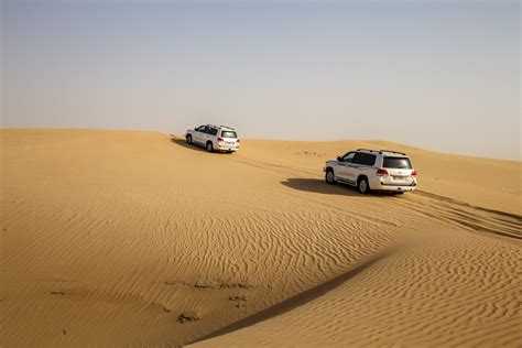 Green Grasses on Sahara Desert · Free Stock Photo