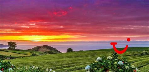 8 Daagse Rondreis Natuurlijk Sao Miguel Rondreis Portugal TUI