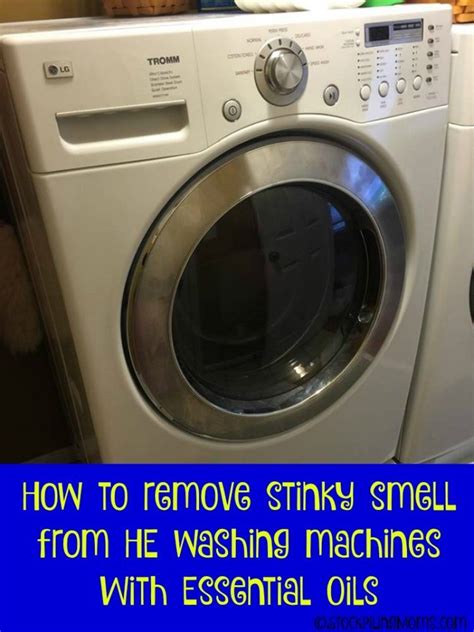 How To Remove Mold Smell In Washing Machine At Savannah Briggs Blog