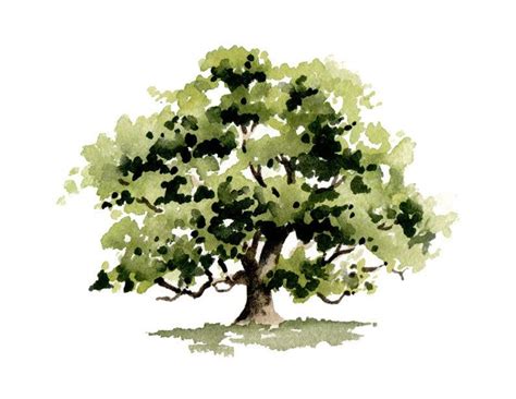 Oak Tree Art Print Wall Decor Watercolor Painting Etsy In 2020 Tree Watercolor Painting Oak