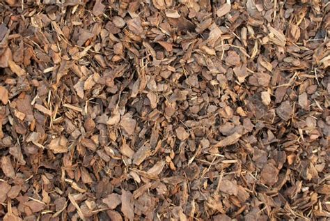 Pine Bark Mini Nugget Mulch Alpharetta Cumming Johns Creek And Milton Ga