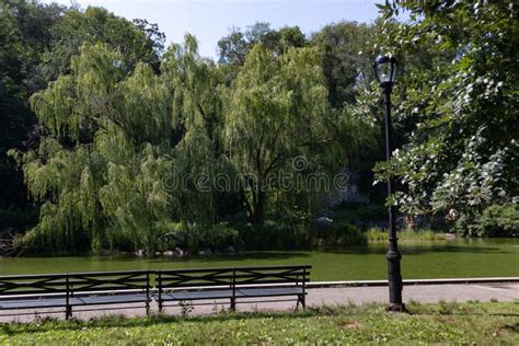 Morningside Park With A Bench Along The Pond In Morningside Heights Of