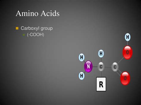 Proteins Ppt Download