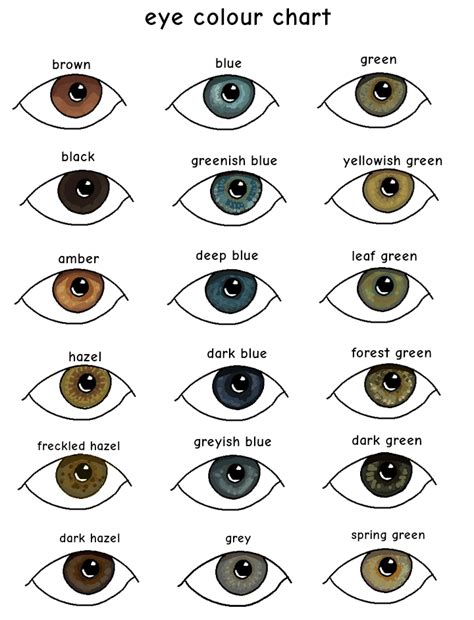 I Made An Eye Colour Chart R WhatisMyEyeColour