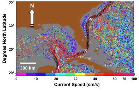 Sea Surface Current Speeds Cm S In The Gulf Of Mexico And In Waters