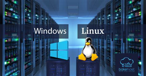 Differences Between Linux And Windows Servers Bakehost