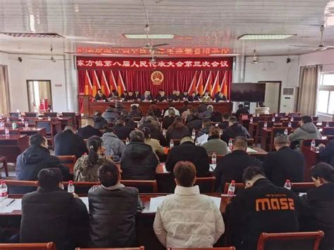 踔厉奋发启新程 笃行不怠再出发 东方镇第八届人民代表大会第三次会议胜利召开发展报告工作