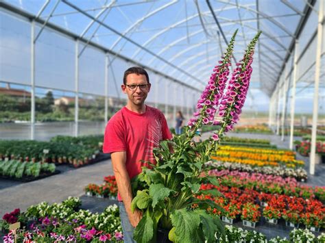 P Rouges Horticulteurs De Renom Ils Ouvrent Des Serres Qui Abritent