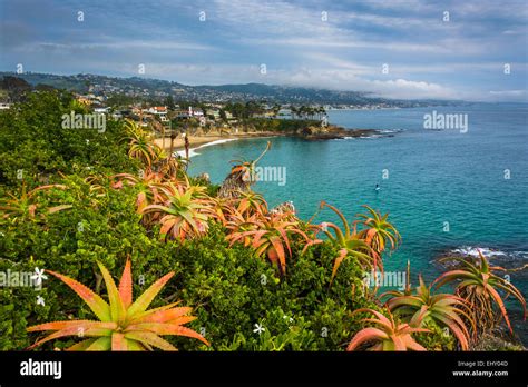 View Of The Pacific Coast From Crescent Bay Point Park In Laguna Beach