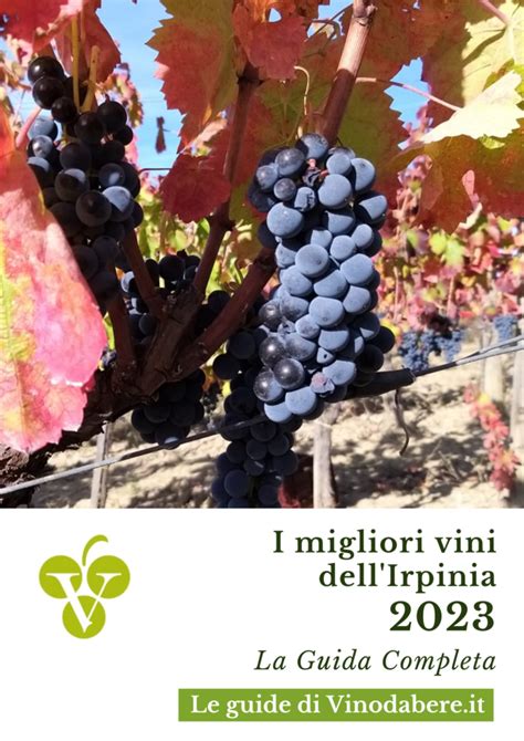 Online La Guida Ai Migliori Vini Dell Irpinia Di Vinodabere It