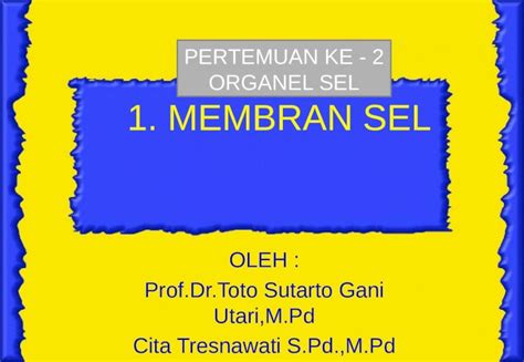 Pptx Pertemuan Organel Sel Dokumen Tips