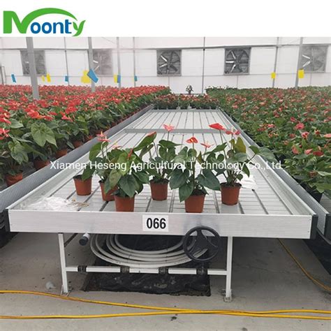 Hydroponics Greenhouse Movable Ebb And Flow Tray Rolling Bench Plants