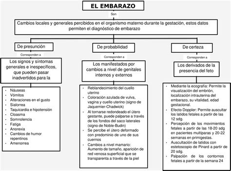 Mapas Conceptuales Del Embarazo Descargar