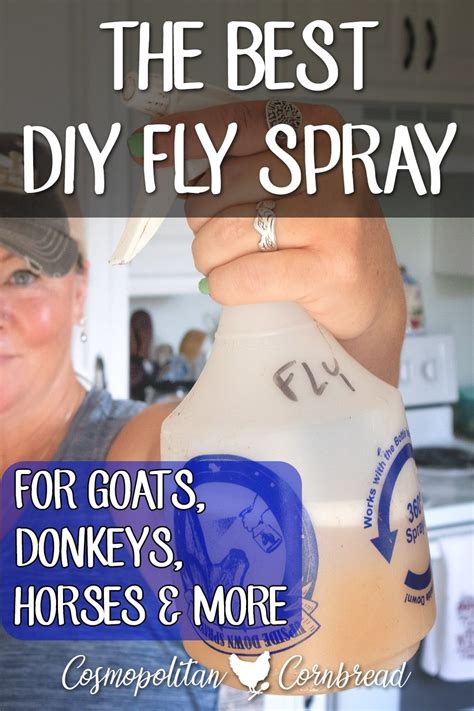 Homemade Fly Spray Artofit