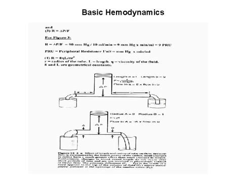 Physical Principles Of Hemodynamic And Bioreology The Heart