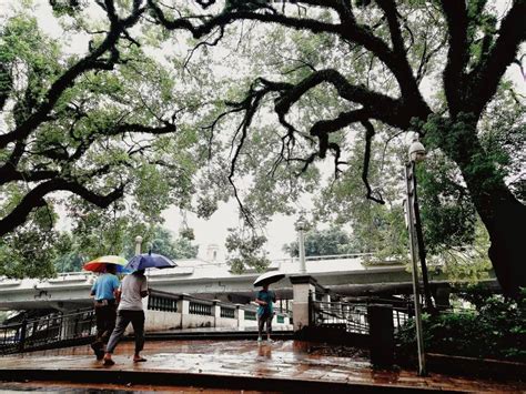 「落雨大水浸街」？不怕，广州人有雨天出行秘诀 知乎