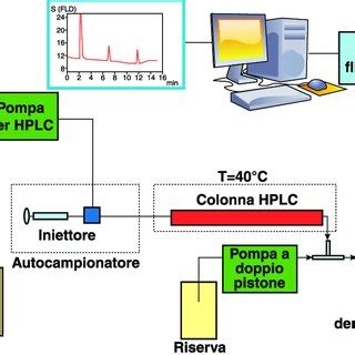 Schema Dell Apparato Strumentale Per La Determinazione Delle Fumonisine