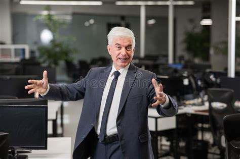 Portrait Of A Cheerful Mature Business Man In The Office Stock Image