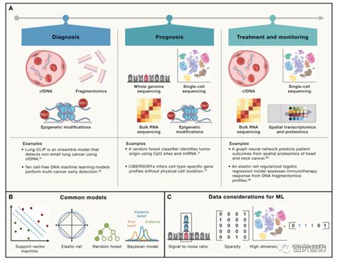 Cell Ai机器学习在癌症临床诊断、预后和治疗中的进展 知乎