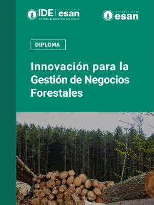 Innovaci N Para La Gesti N De Negocios Forestales Ide Esan