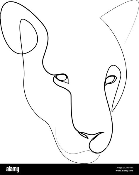 Puma, lioness, jaguar head line art drawing. Continuous one line ...