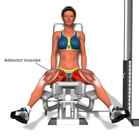 Available Hip Abductor Machine Adductor Workout Inner Thigh Workout