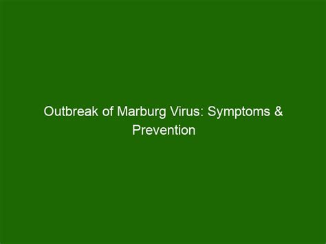 Outbreak of Marburg Virus: Symptoms & Prevention Tips - Health And Beauty