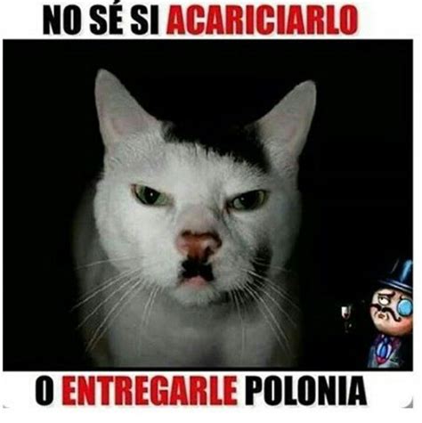 Pin de Naiara en Funny Memes antiguos Videos divertidos Imágenes