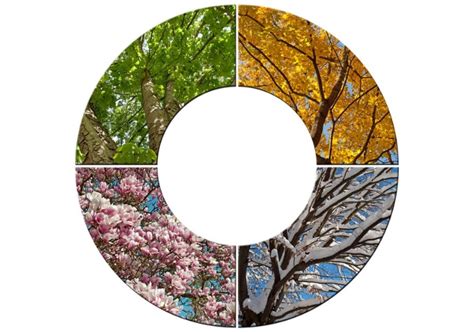 Circle Of Seasons Calendar