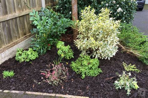 Bark For Gardens Information Ideas And Easy Diy Guides