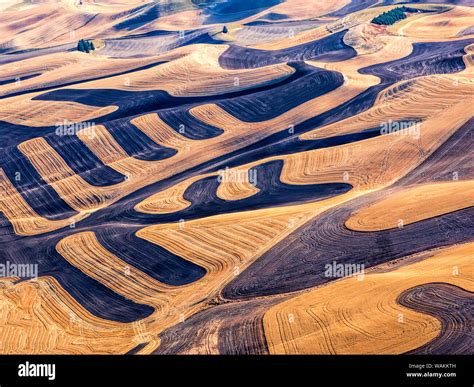 Usa Washington State Palouse Region Aerial Images Of Harvest In The