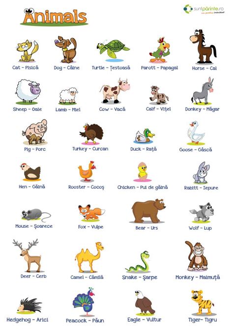 Animals In English For Kids