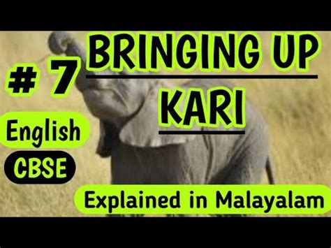 CBSE Class 7 English Bringing Up Kari In Malayalam YouTube