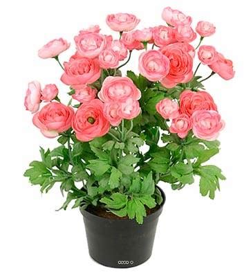 Renoncule Artificiel En Pot H 28 Cm 32 Fleurs Artificielles Lumineuses