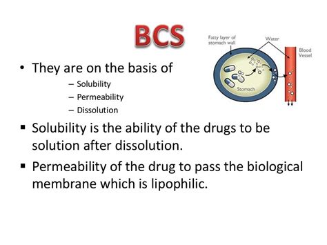 Biopharmaceutical Classification System