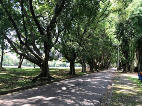 Site Reas Verdes Das Cidades Comemora Anos Mais Milh Es De