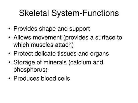 PPT - Skeletal System-Functions PowerPoint Presentation, free download ...