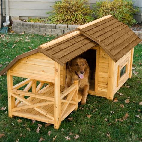 Cool Dog Houses Designs