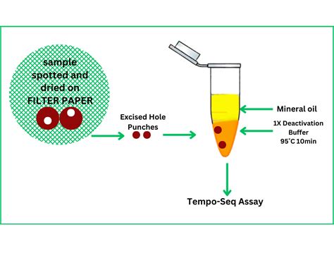 Dried Blood Spot Bioclavis