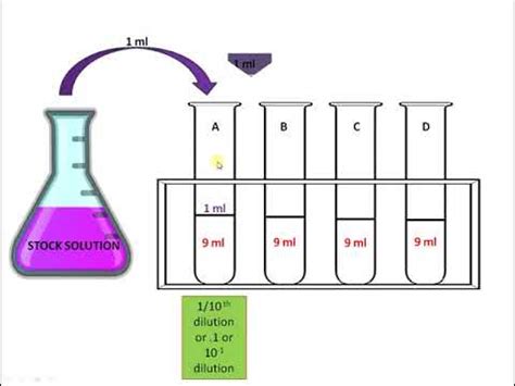 Serial Dilution Method Protocol Step Wise Explanation Youtube