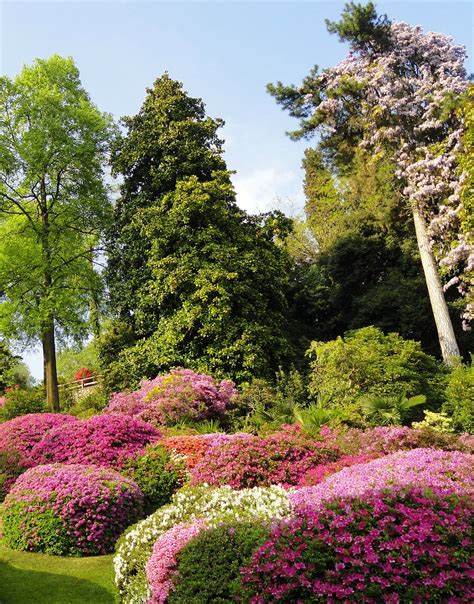 Villa Carlotta Gardens | Explore Lake Como