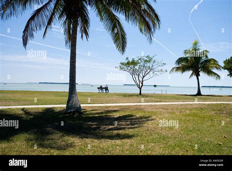 Flamingo Florida Bay Everglades National Park Stock Photo Alamy