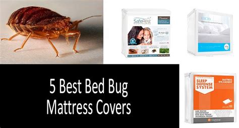 TOP-5 Best Bed Bug Mattress Covers & Protectors - Review 2020