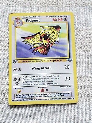 St Edition Pidgeot Jungle Set Rare Non Holo Pokemon Card Ebay