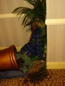 Hailey Glassman Nude Photos Videos