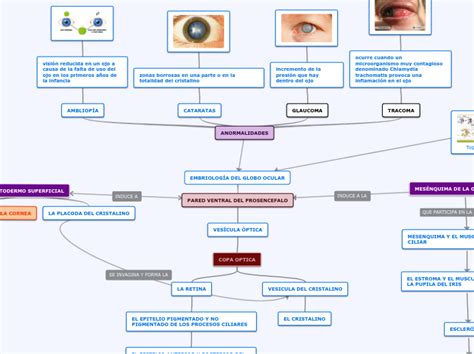 EMBRIOLOGÍA DEL GLOBO OCULAR Mind Map