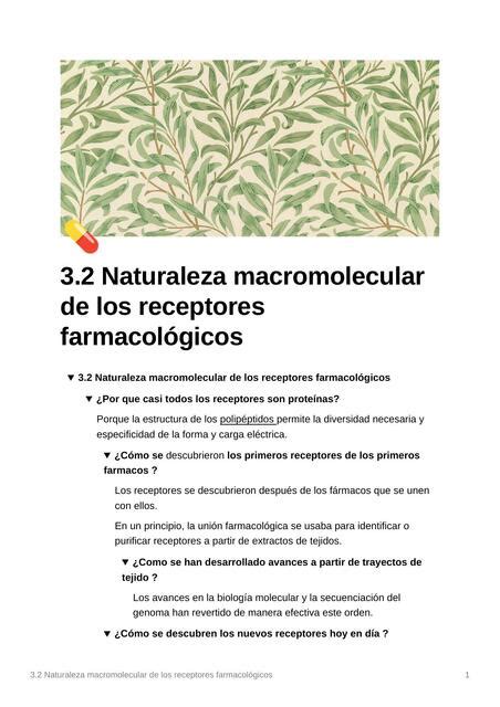 Naturaleza Macromolecular De Los Receptores Farmacol Gicos Espm