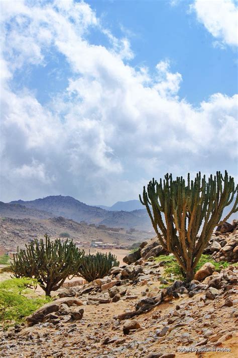 Arkawit Eastern Sudan Red Sea State أركويت، شرق السودان، ولاية البحر