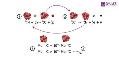 Carbon Dating | Its importance & the physics behind it | Chemistry | Byju's